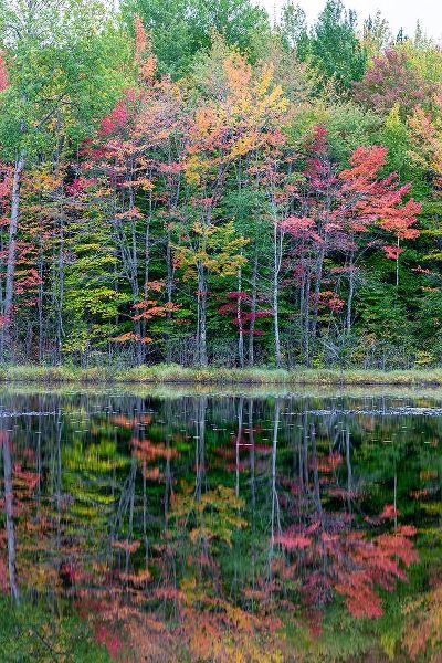 Thornton Lake in fall color-Alger County-Michigan